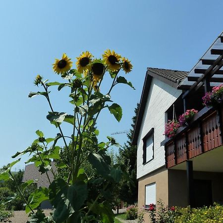 Blumenwiese Weilheim Eksteriør bilde