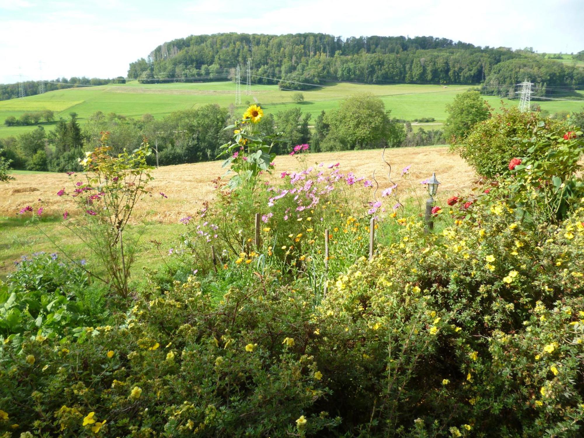 Blumenwiese Weilheim Eksteriør bilde