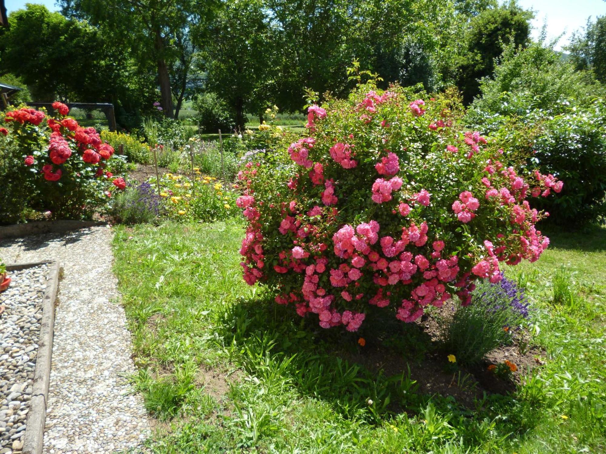 Blumenwiese Weilheim Eksteriør bilde